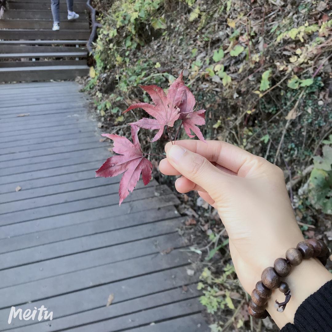 @阳光暖暖🌈