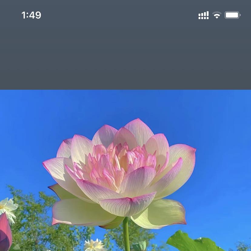 换潘生活意屋