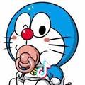 浮夸半生