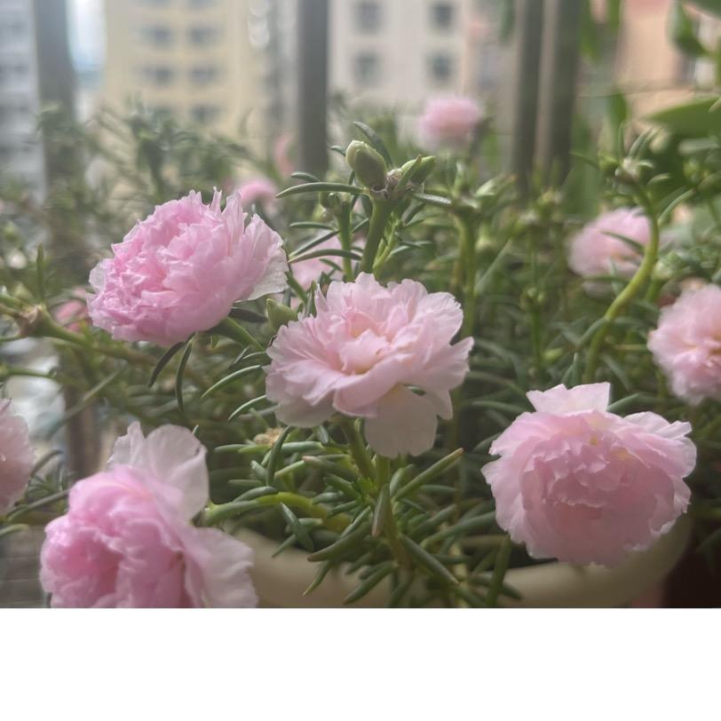 🌈欣欣心心🍀