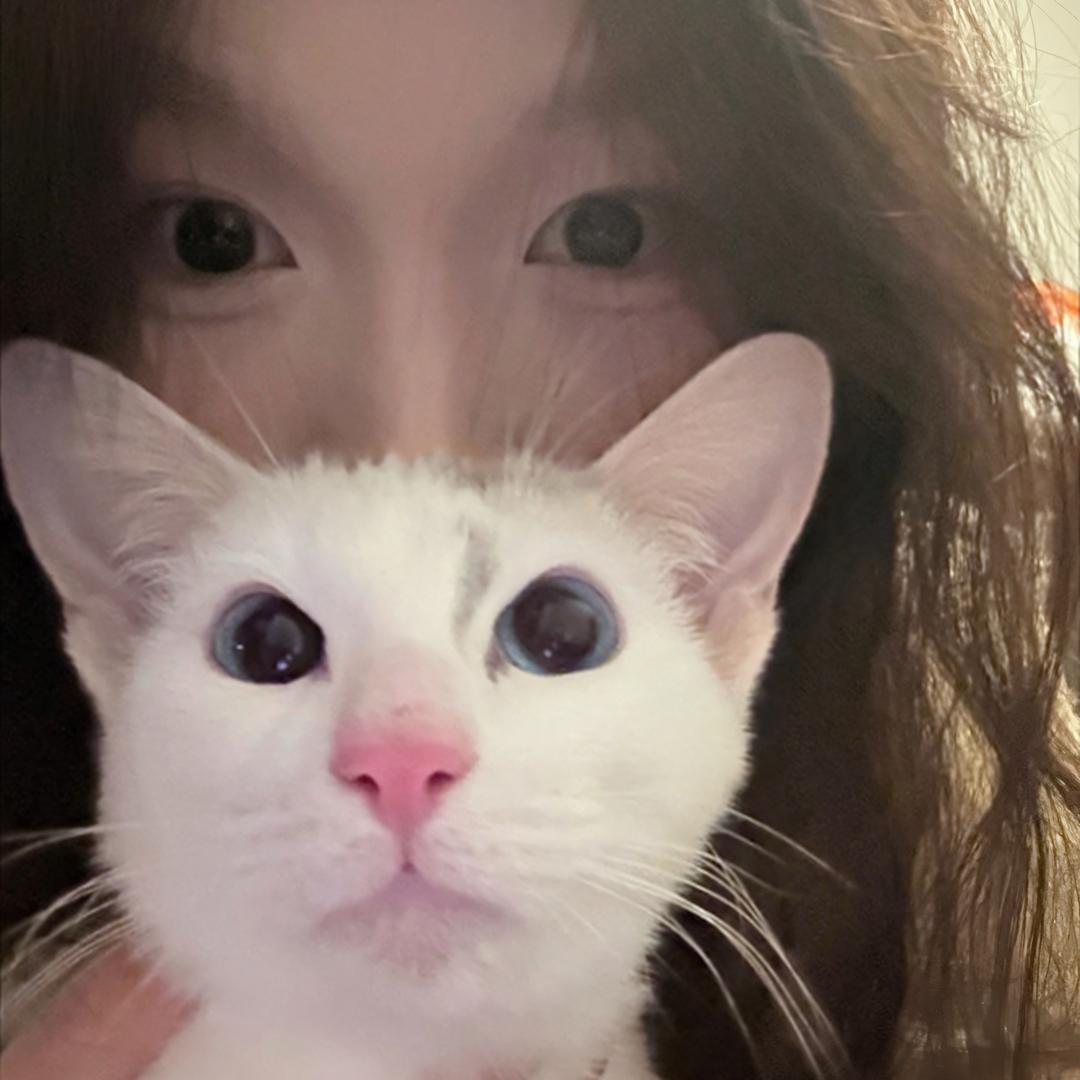 侗侗