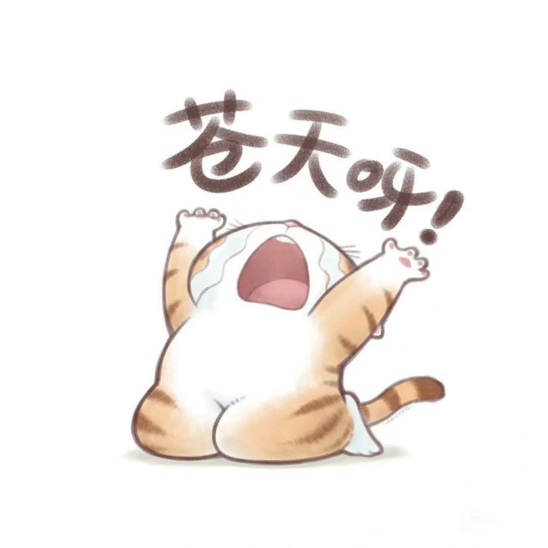 心静自然凉🙏