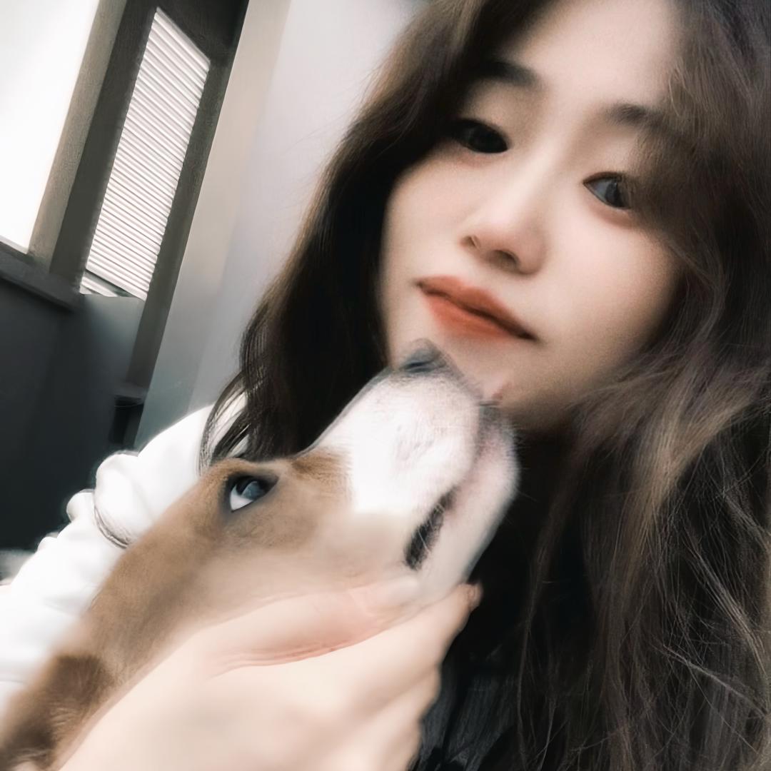皮球不是球🐶