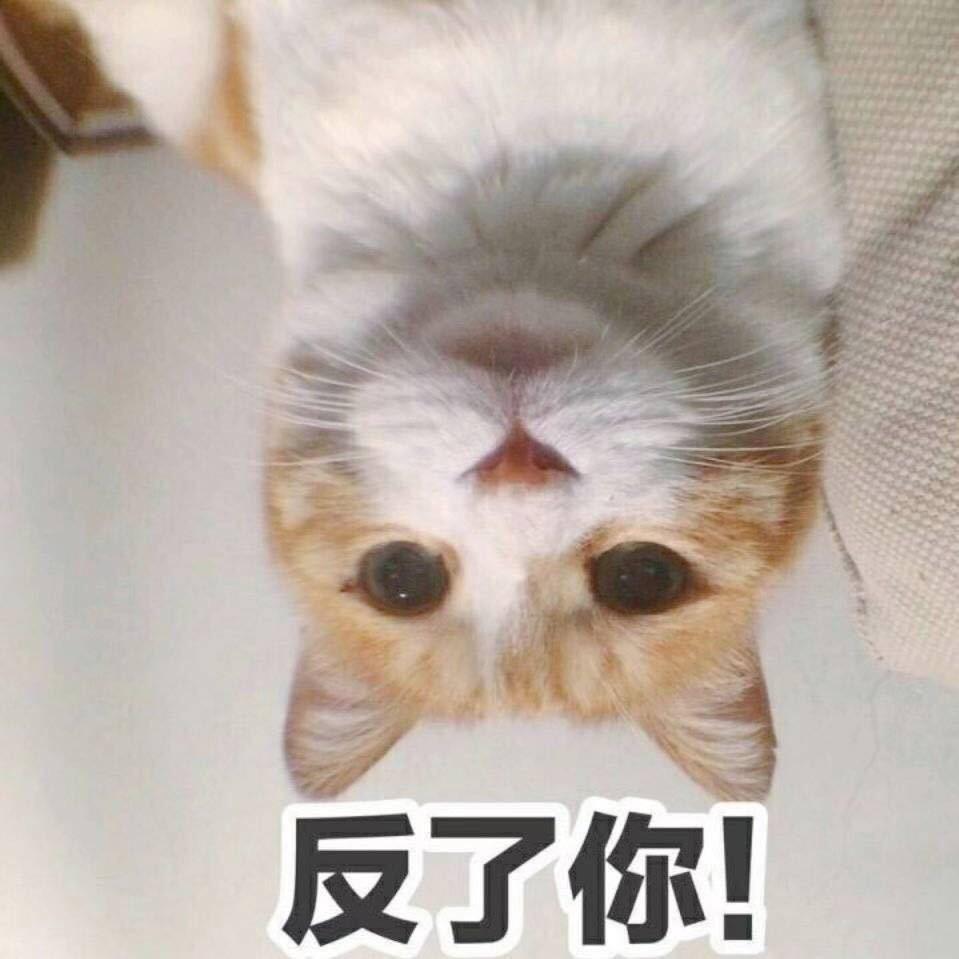 有后续吗
