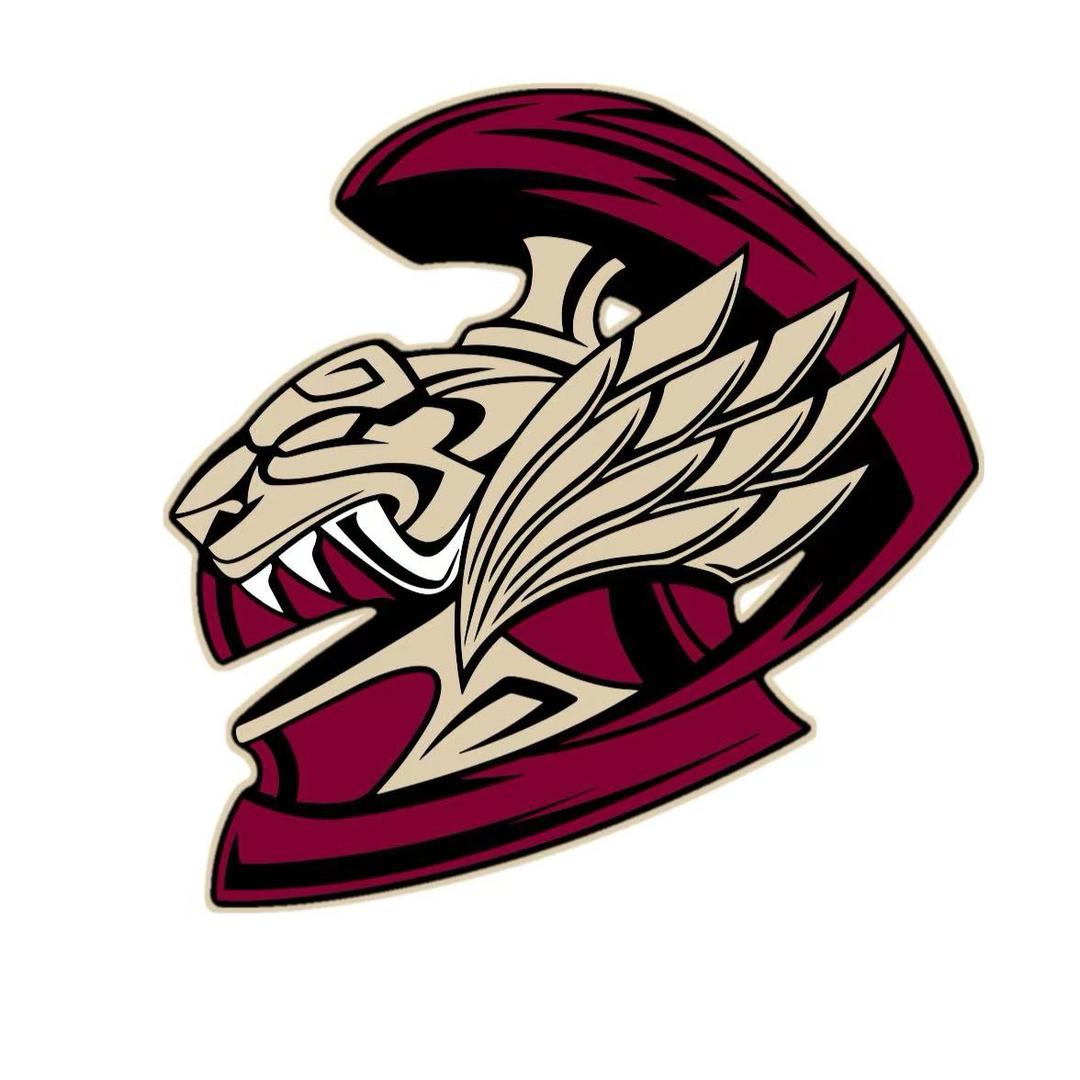 上海勇士美式橄榄球队