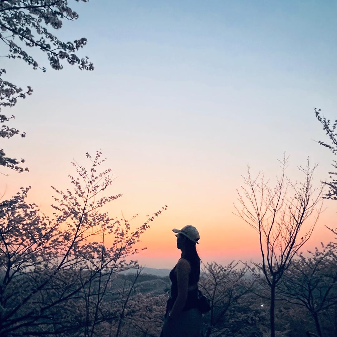 青春是一段旅行。