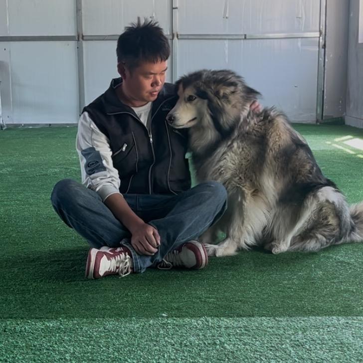 宿迁徐凯训犬（宠悦社区）
