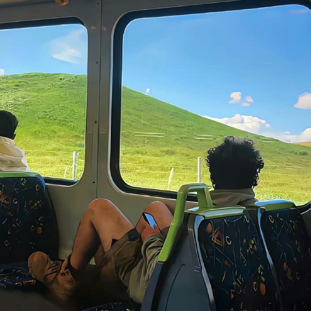 人间值得丸