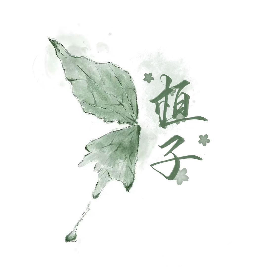 桓子小铺（周边定制）