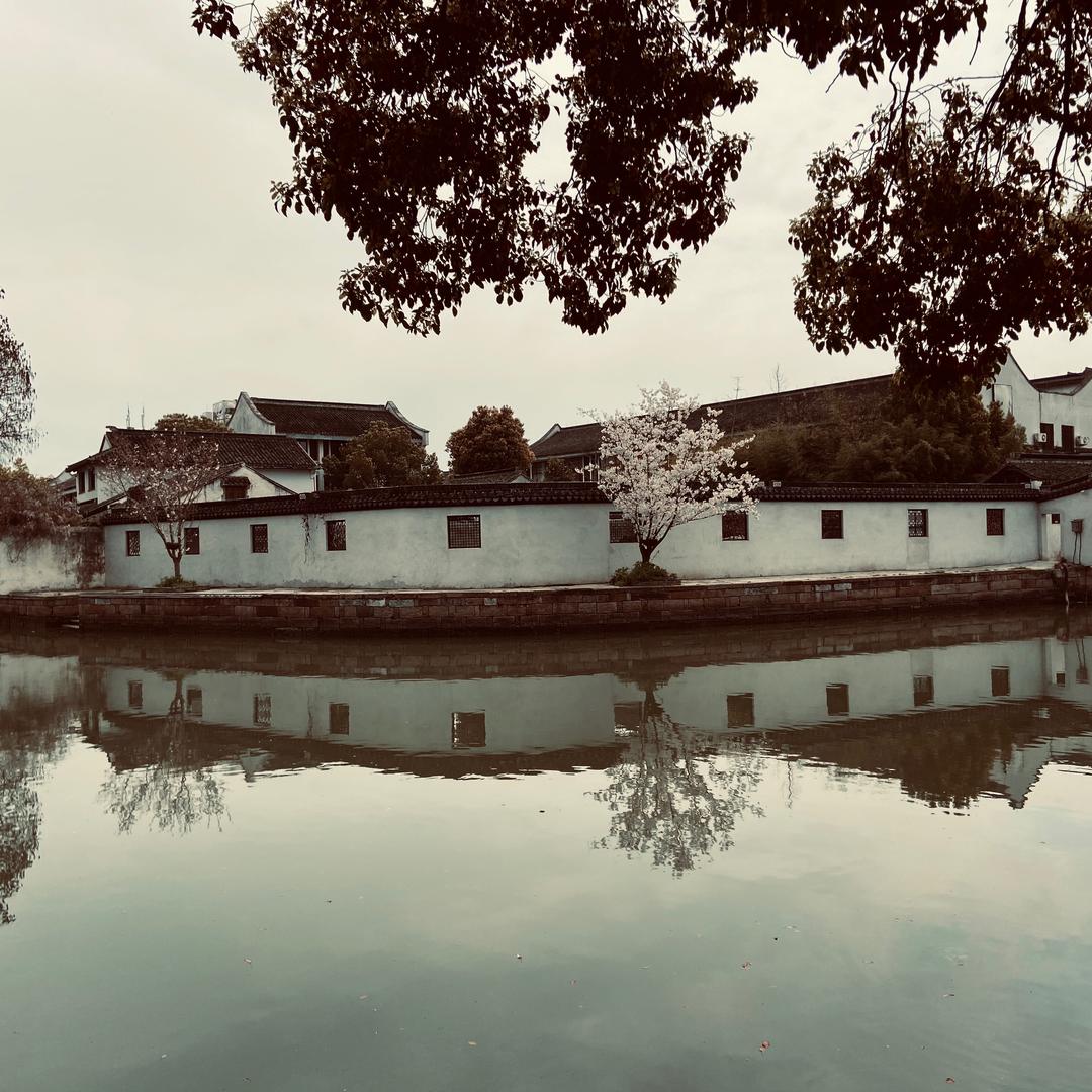 👏端水大师👏