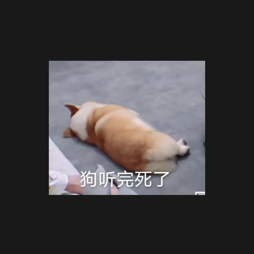 🌈🌈🌈🌈🌈海螺少年