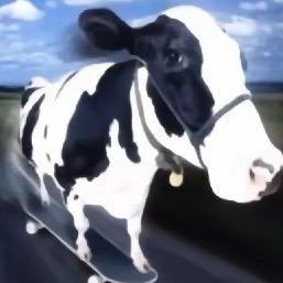忧郁张二牛