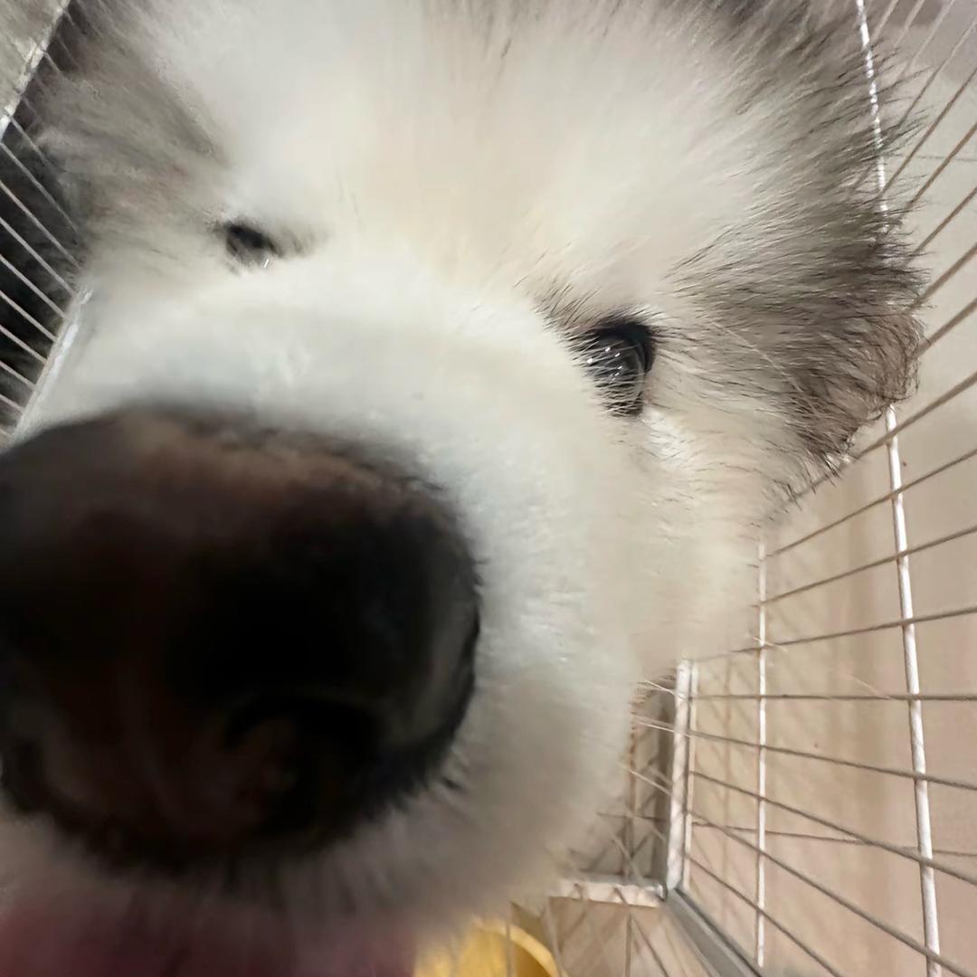 小佳🚶🏼‍♂️