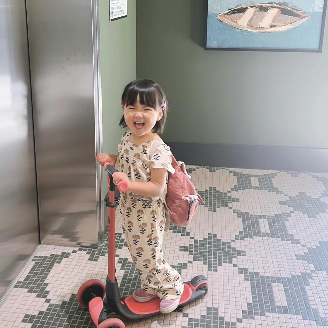 昭昭如愿