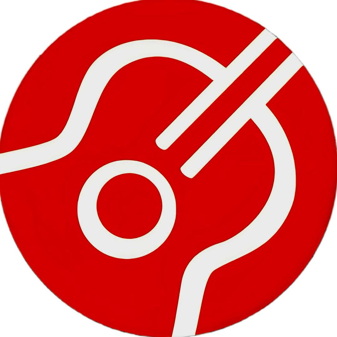 丽云吉他