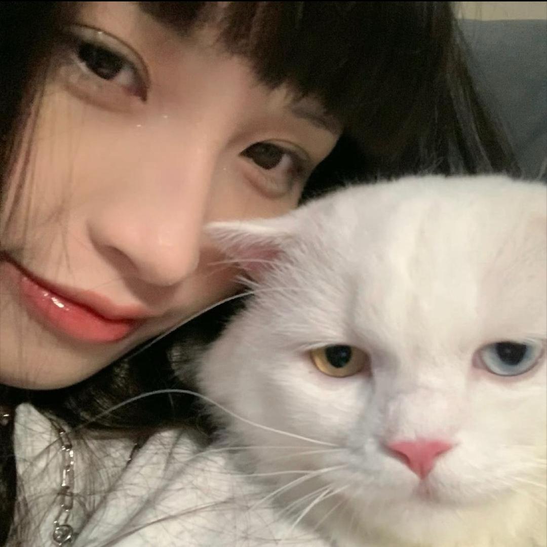 马思维