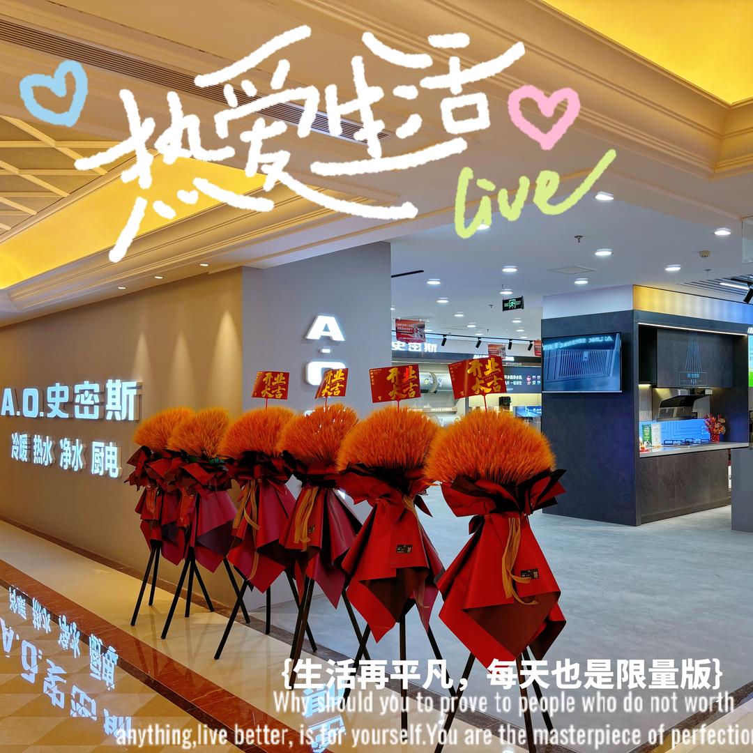 天津A.O.史密斯河西红星美凯龙