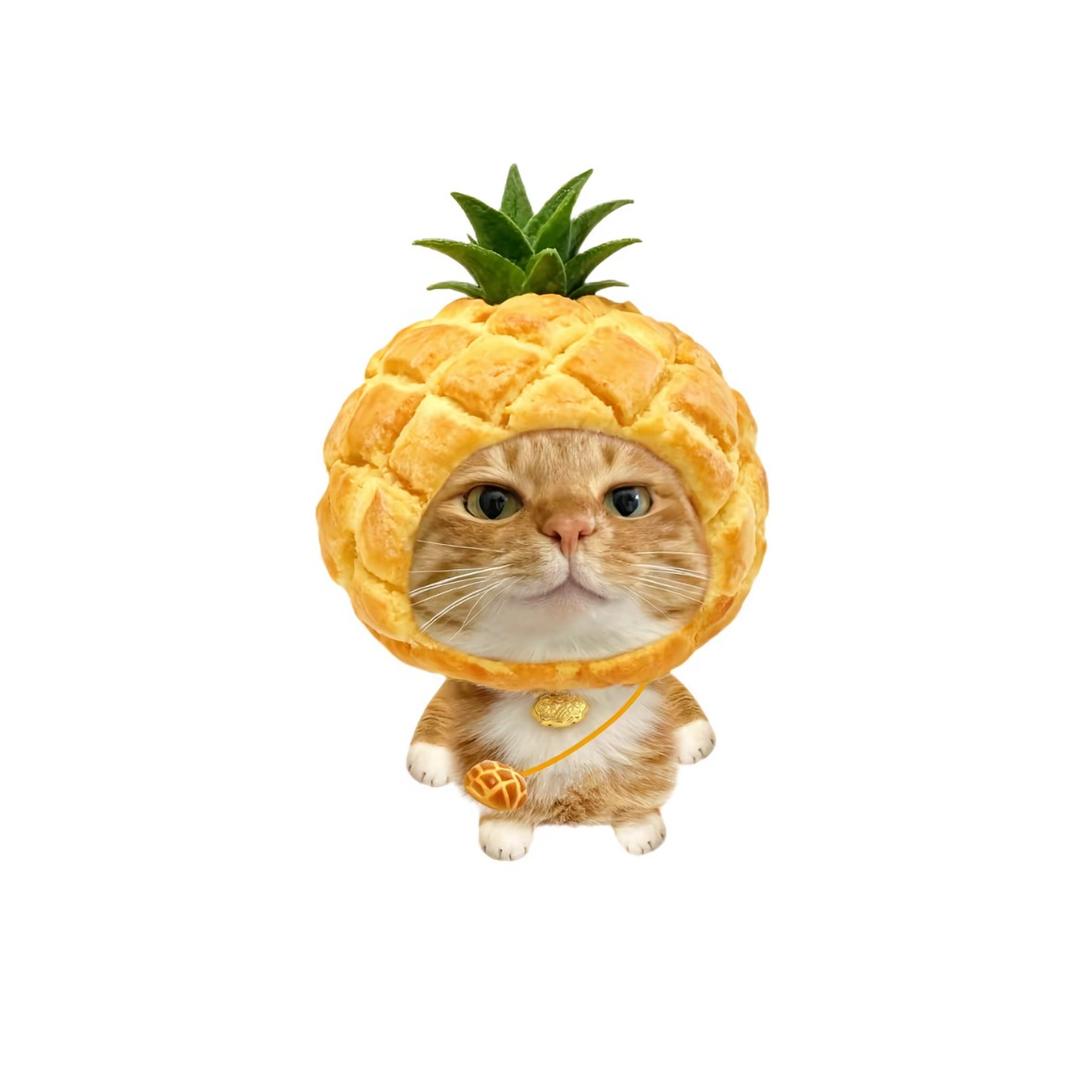 盆塘小哈欠