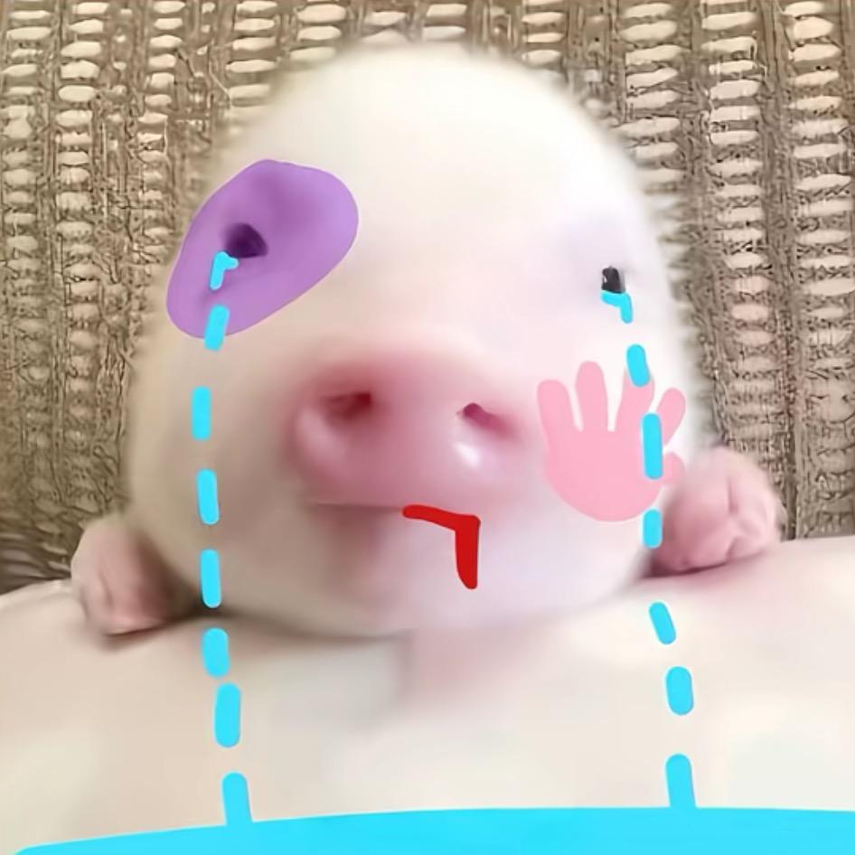 不要对我说奇怪的话