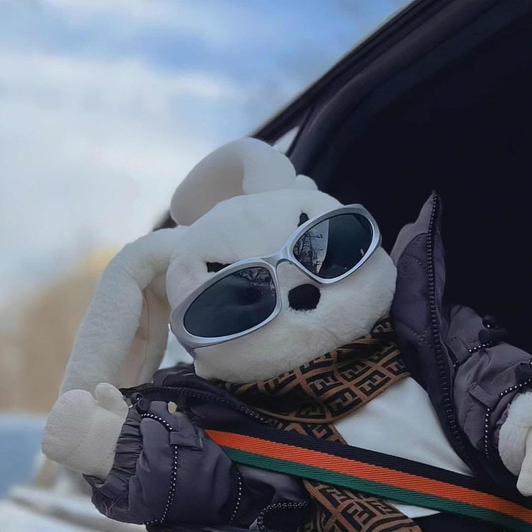 🥭不吃芹菜不吃姜