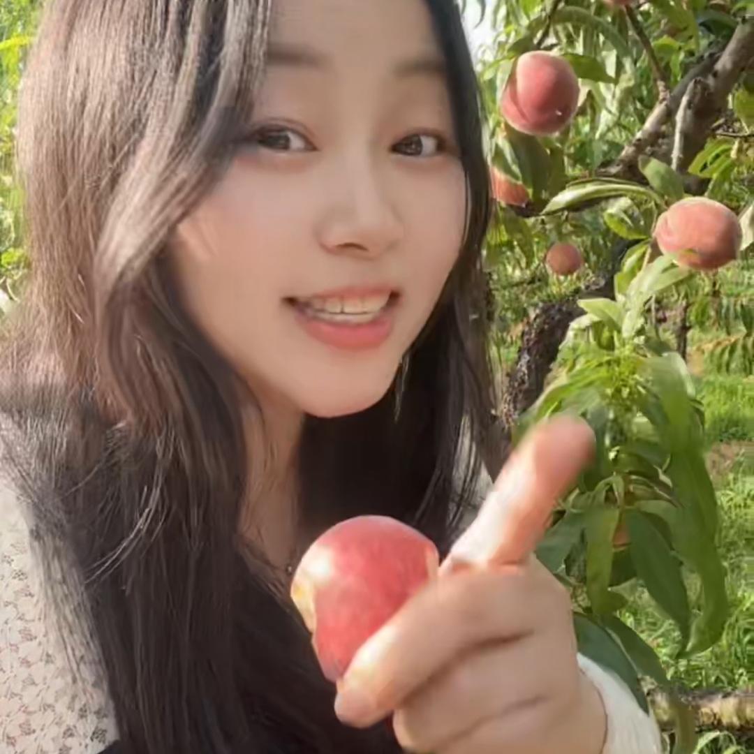 桃姐