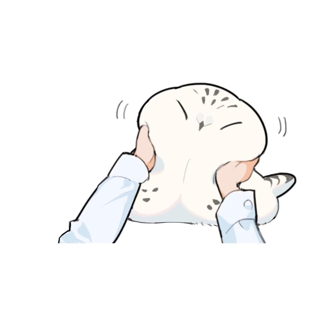 苏格兰圆脸胖鸡