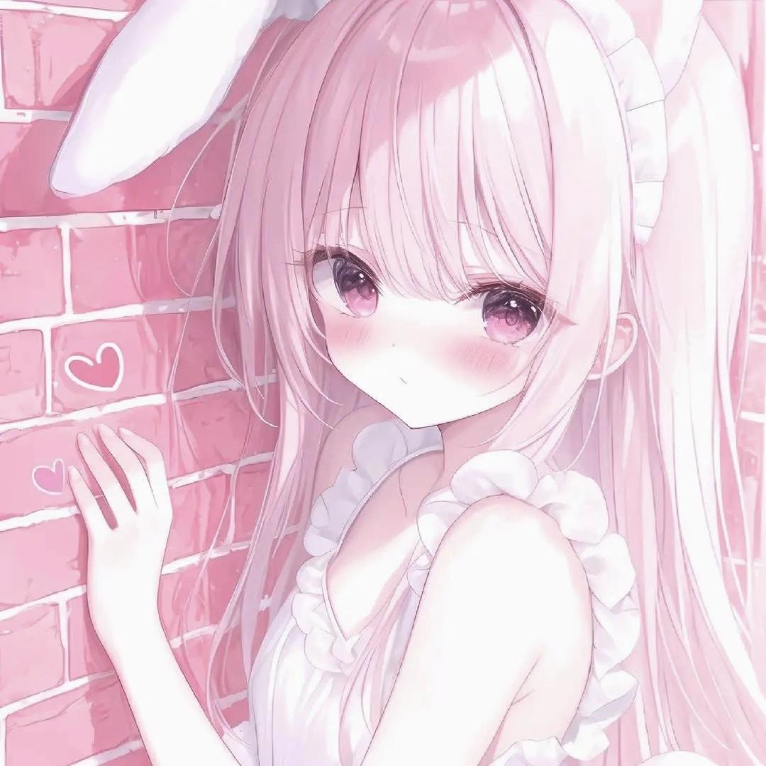 猫猫  💗会员💗