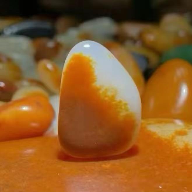 相如籽玉666