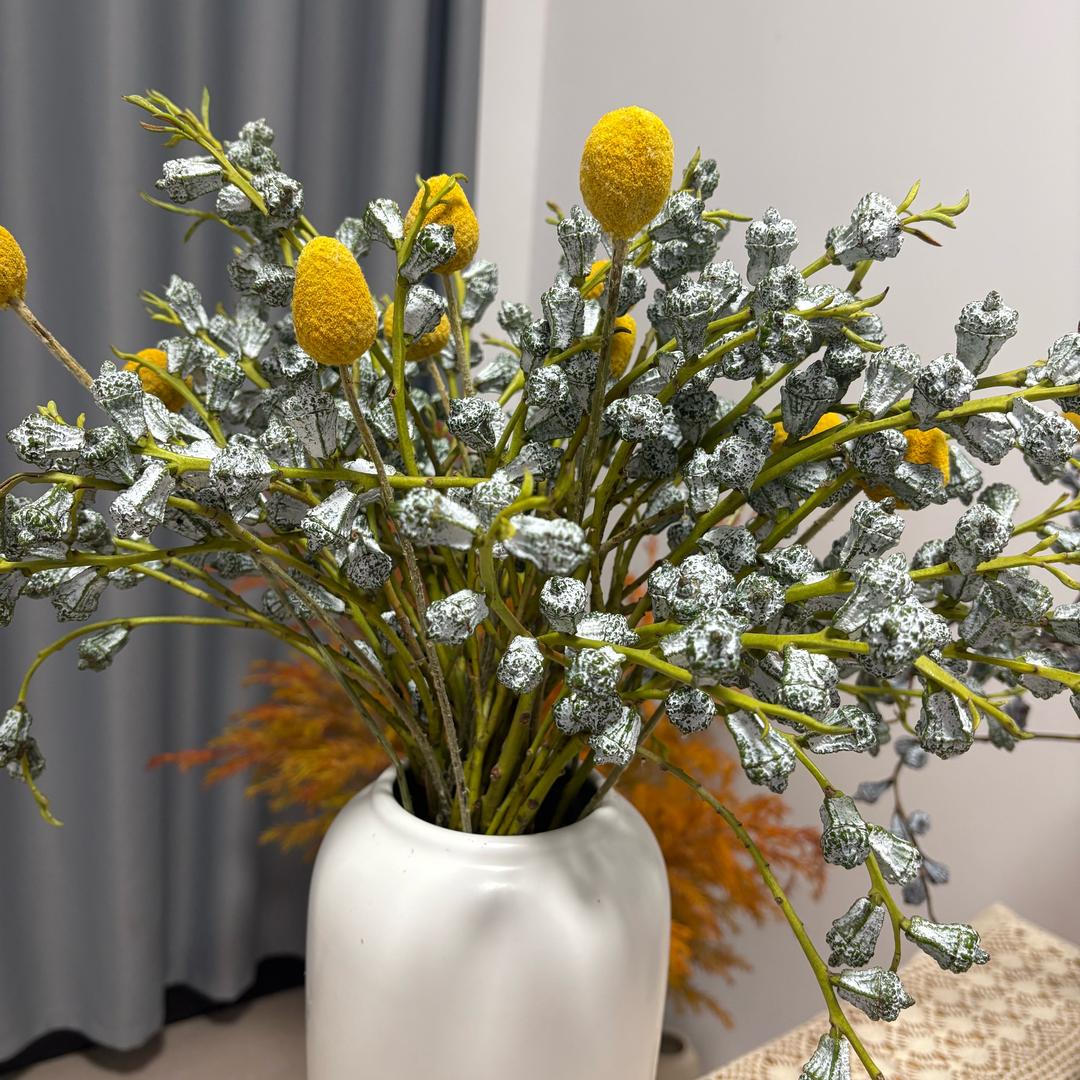 仙仙花语