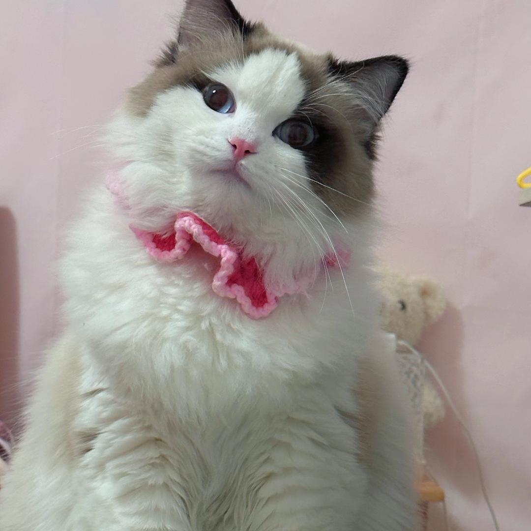 小9很厉害