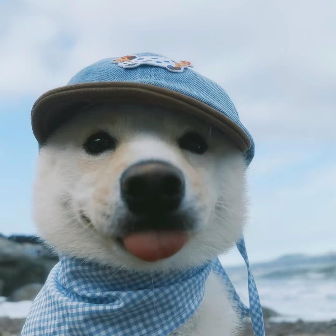 胡晓嵩