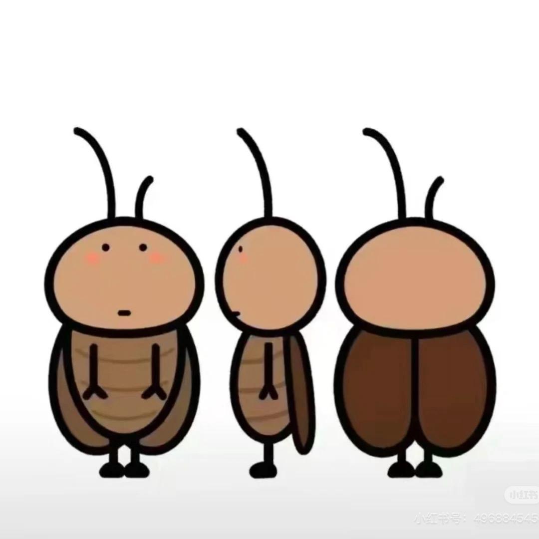 歪比巴卜～