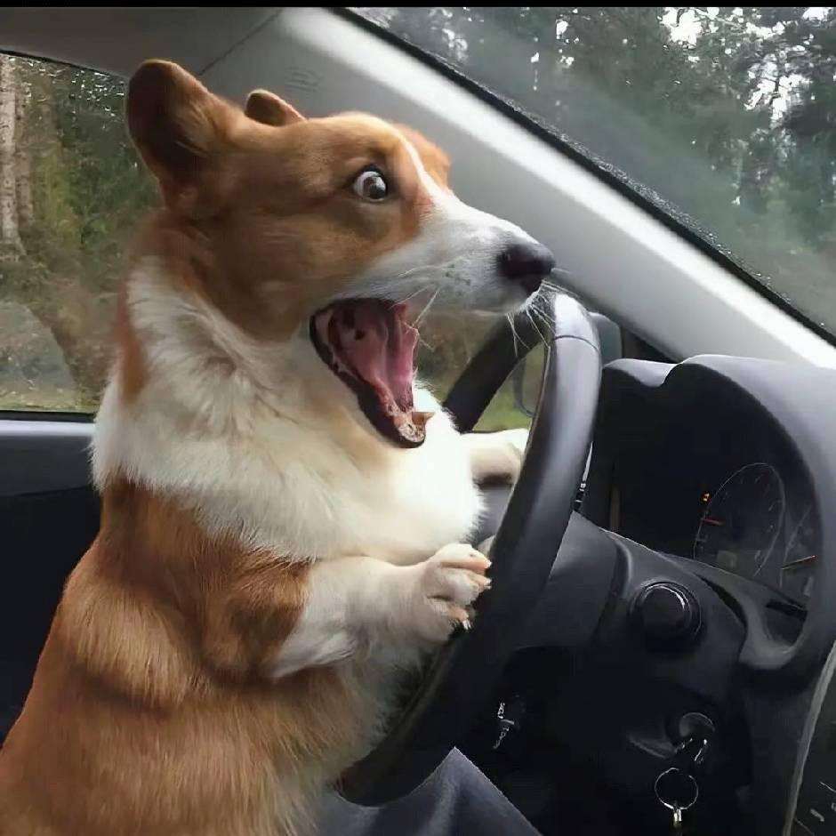 😲