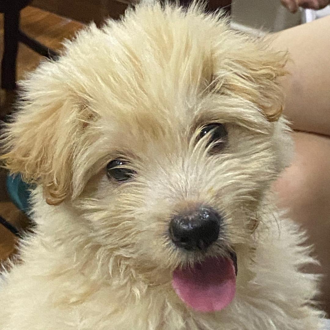 太阳是个咸蛋黄！