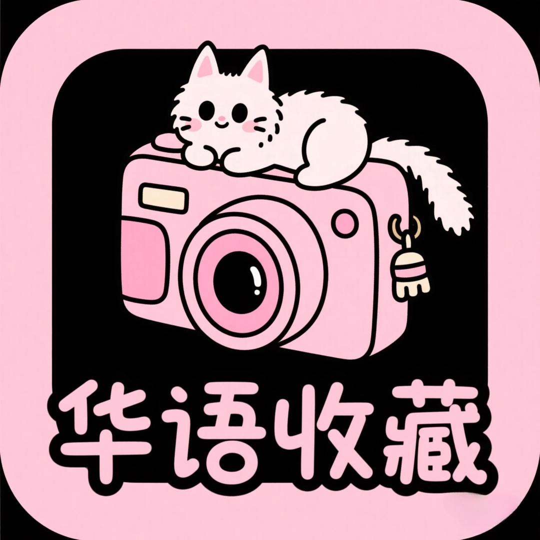 华语收藏品（ccd相机）