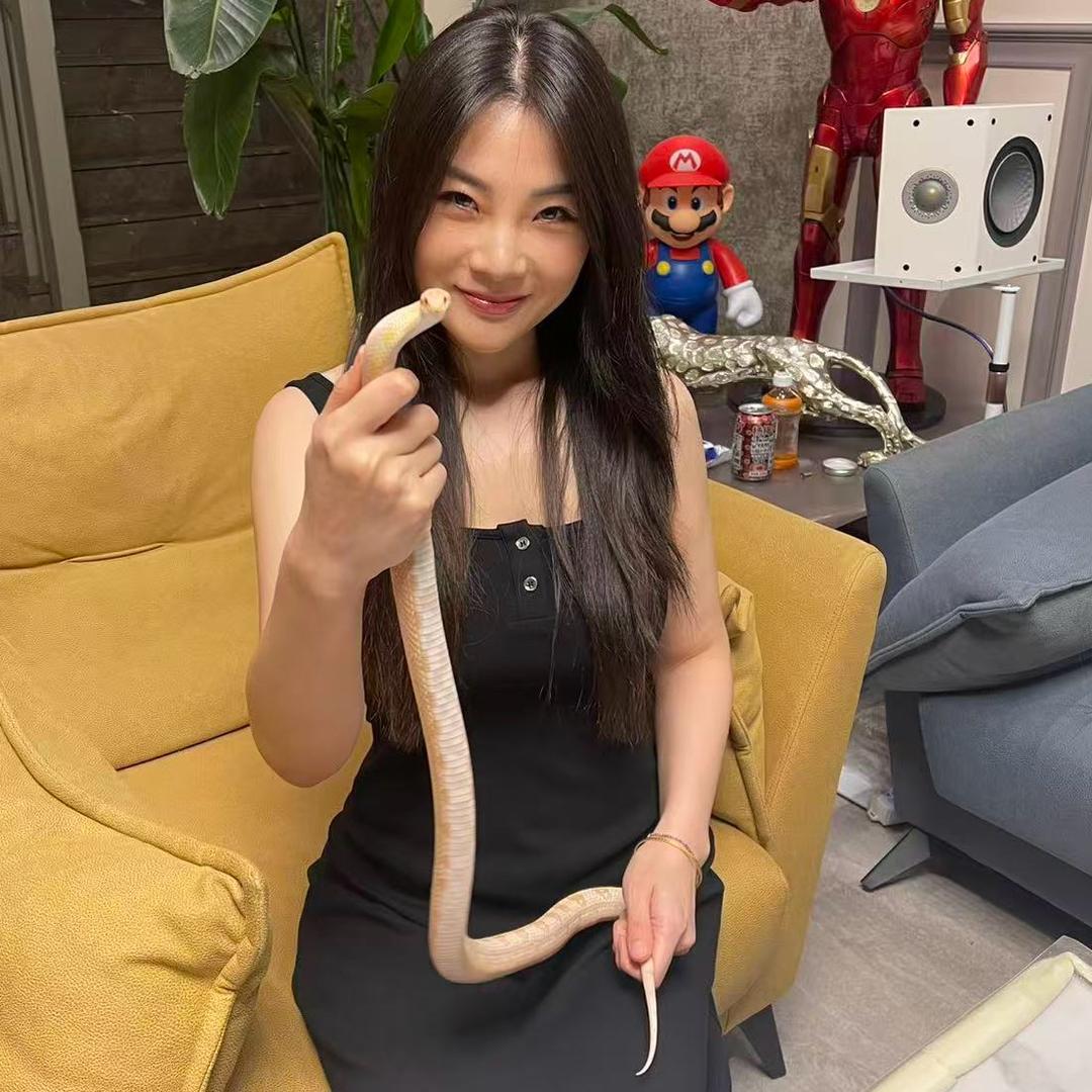 蛇来运转自繁宠物蛇用品