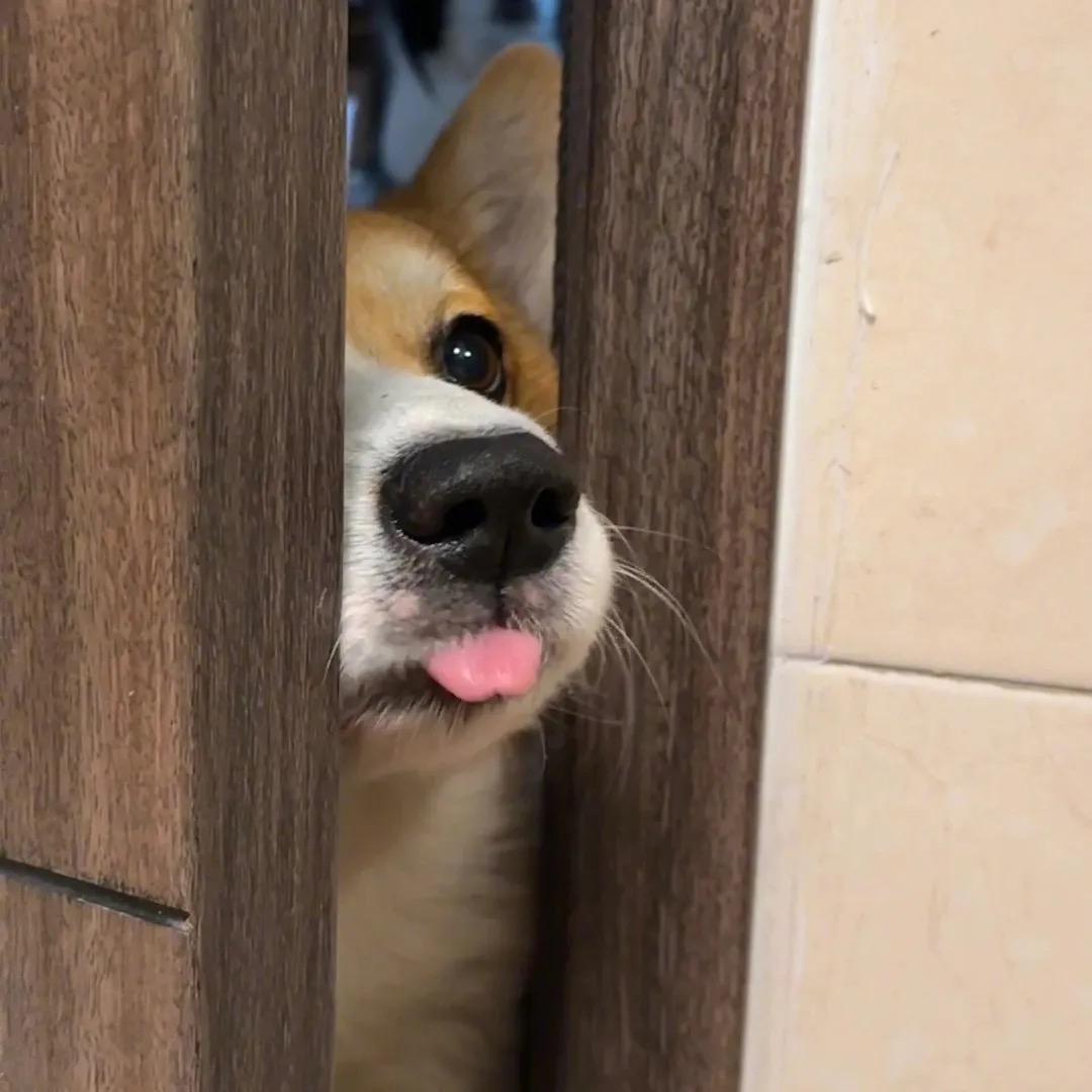乐正熙