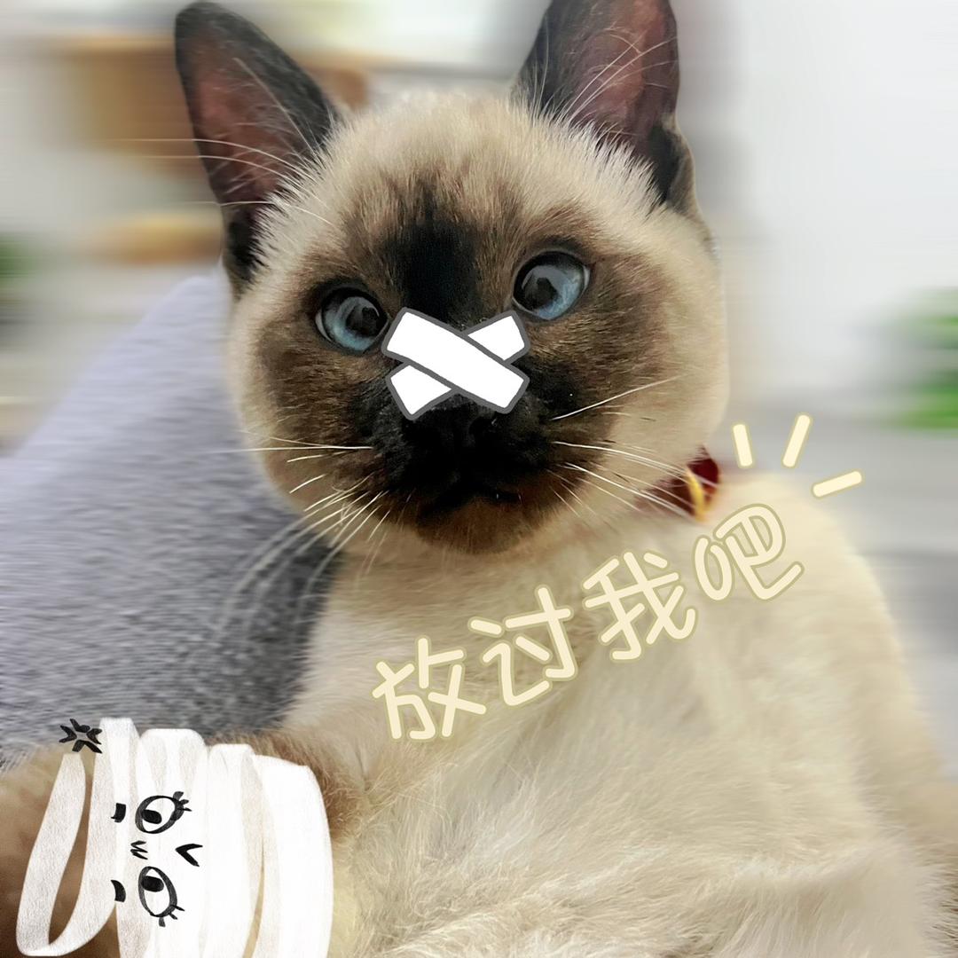 ———美食咖 📷  展开V