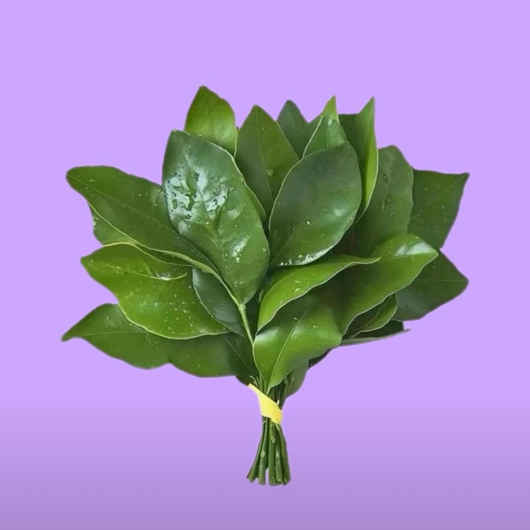 woshixiaobai（莲蓉大王）