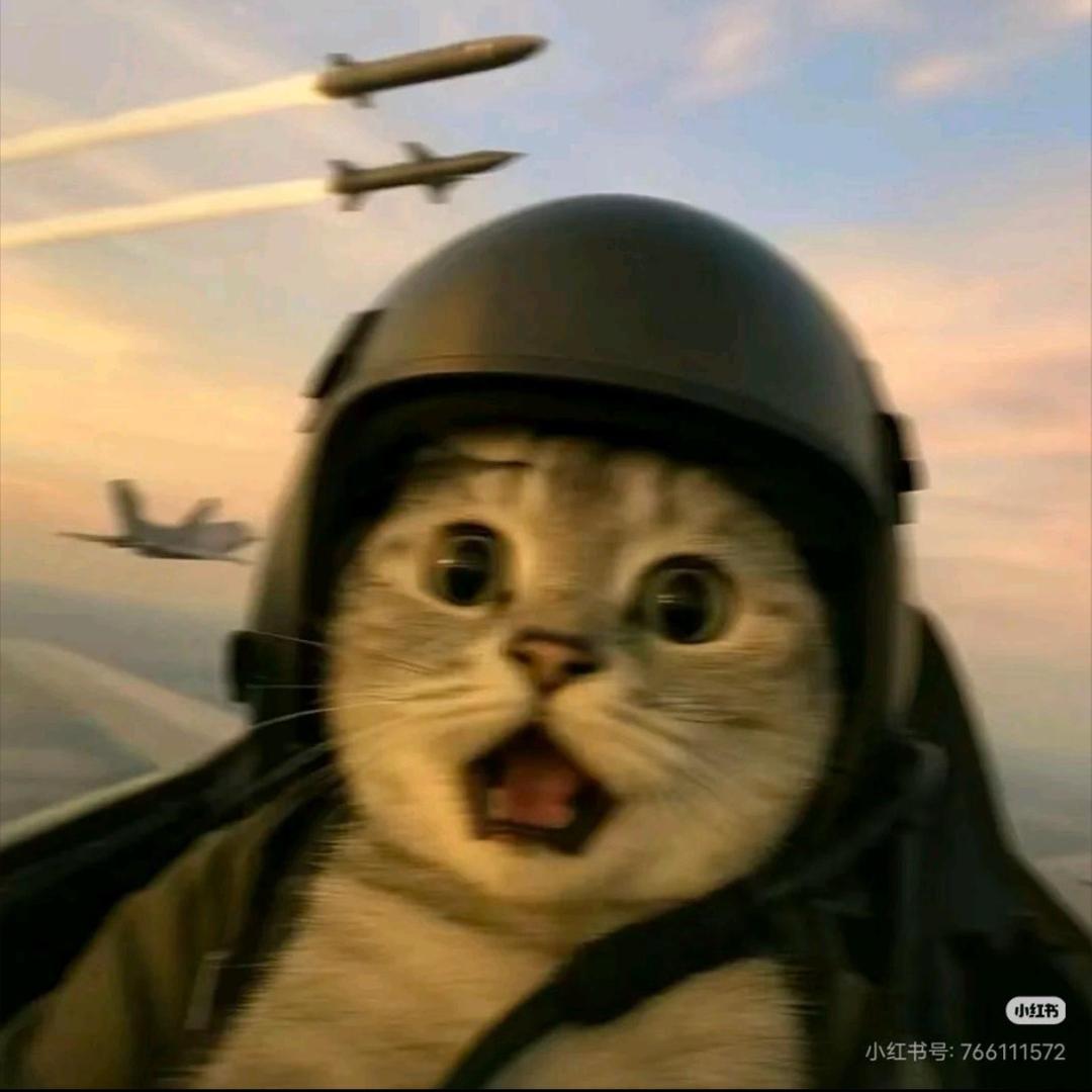 楠遇 （三角洲跑刀）