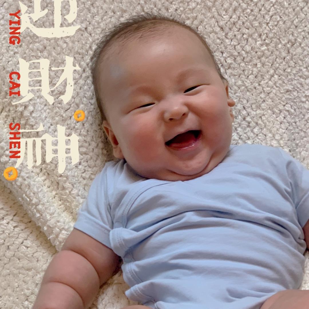 多乐多乐