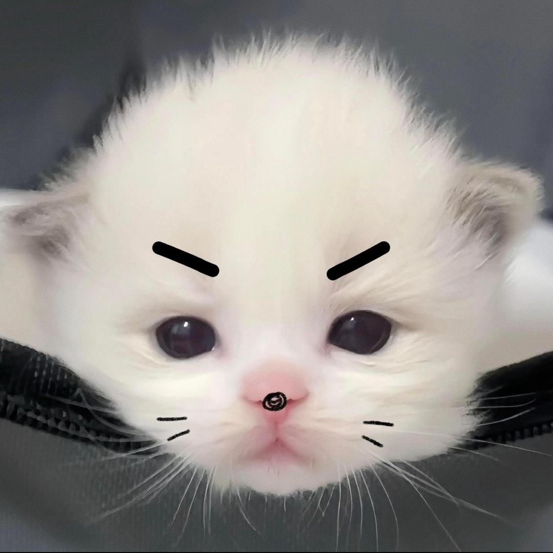 卫衣