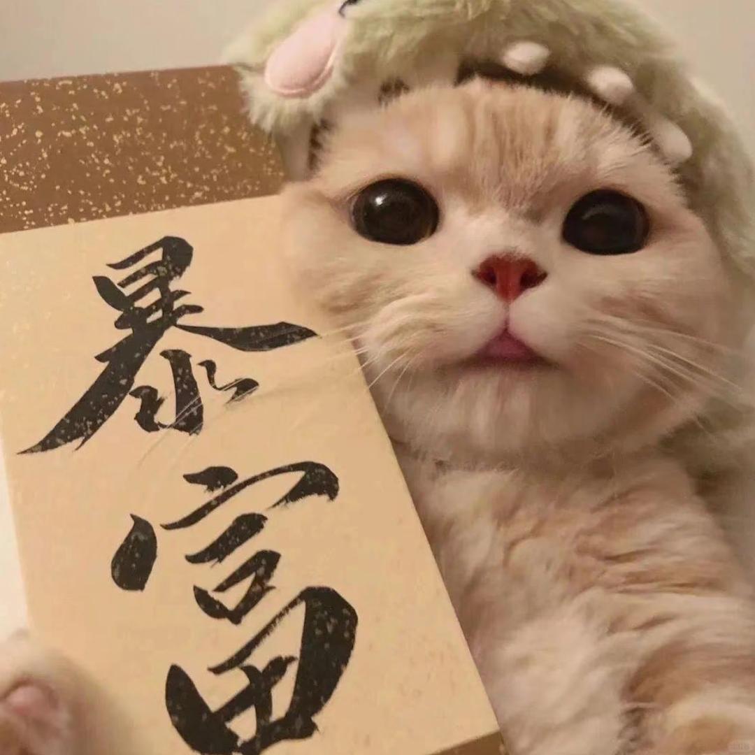 山梵优品