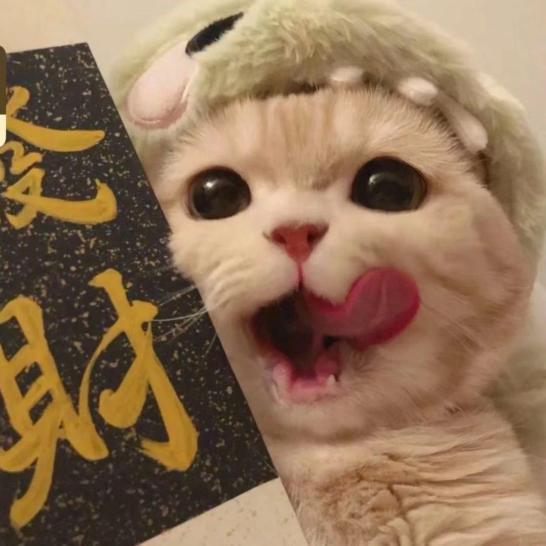 是七七鸭!