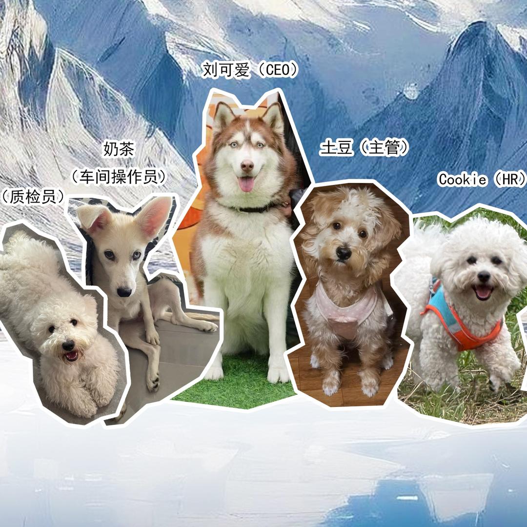 汪星无限责任公司