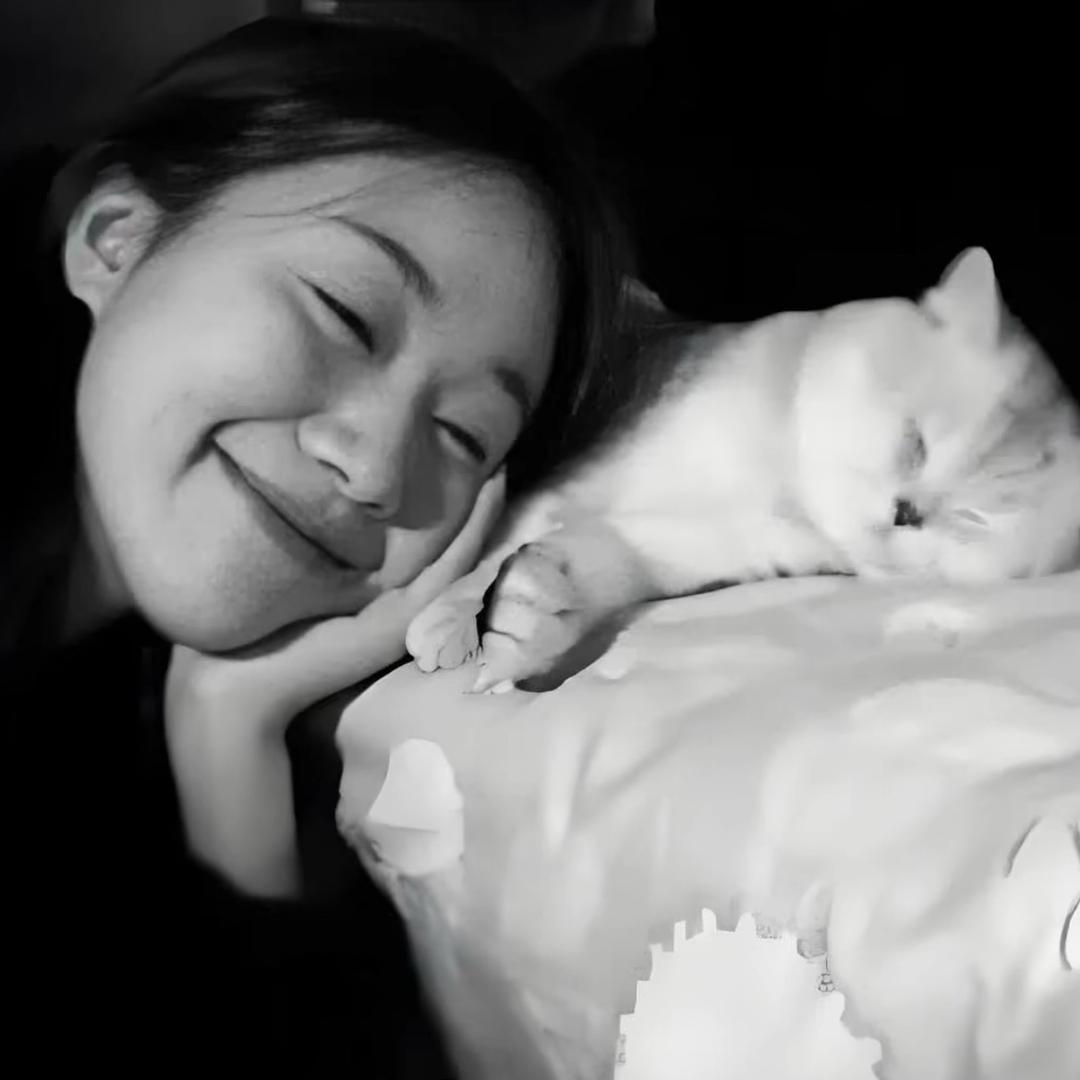 有了面包我还想有个蛋糕