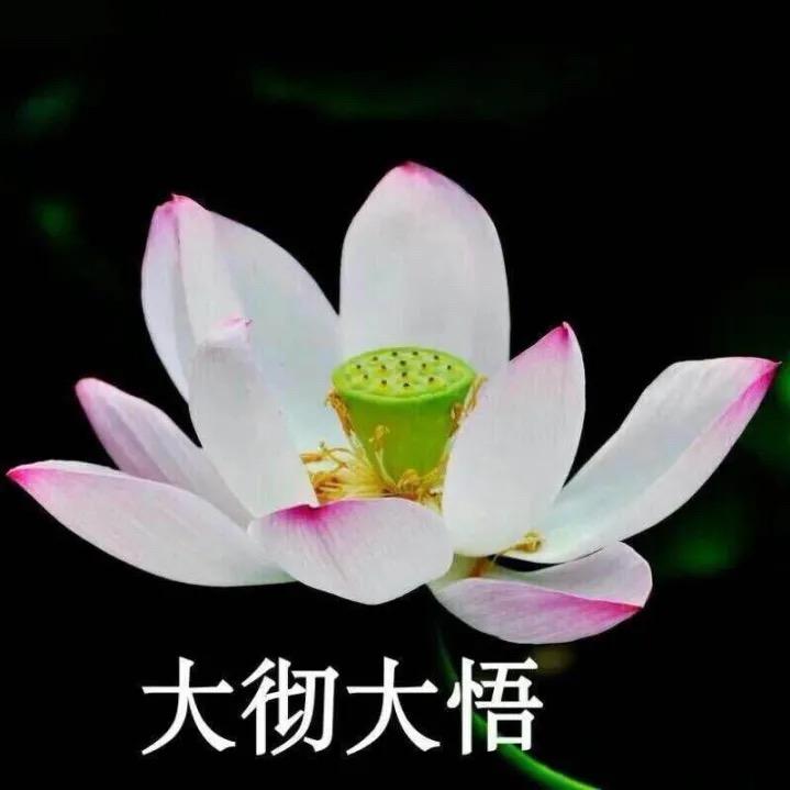 平淡是真