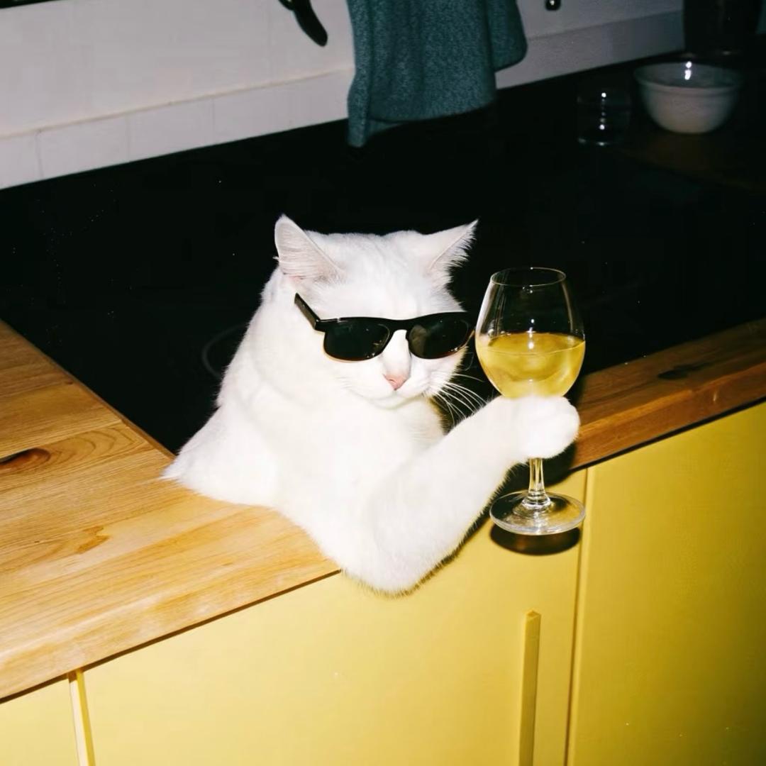 🐈‍⬛……