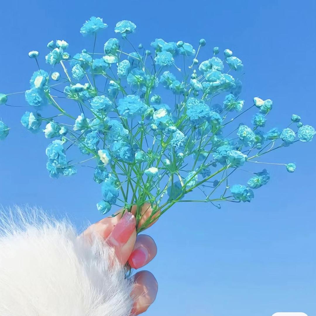 👉🏻 廾匸👈🏻