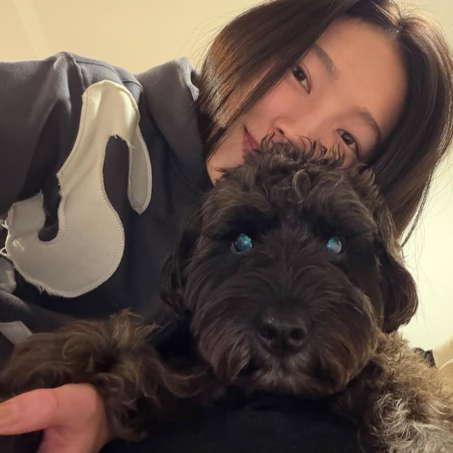 迟早谈到金智秀